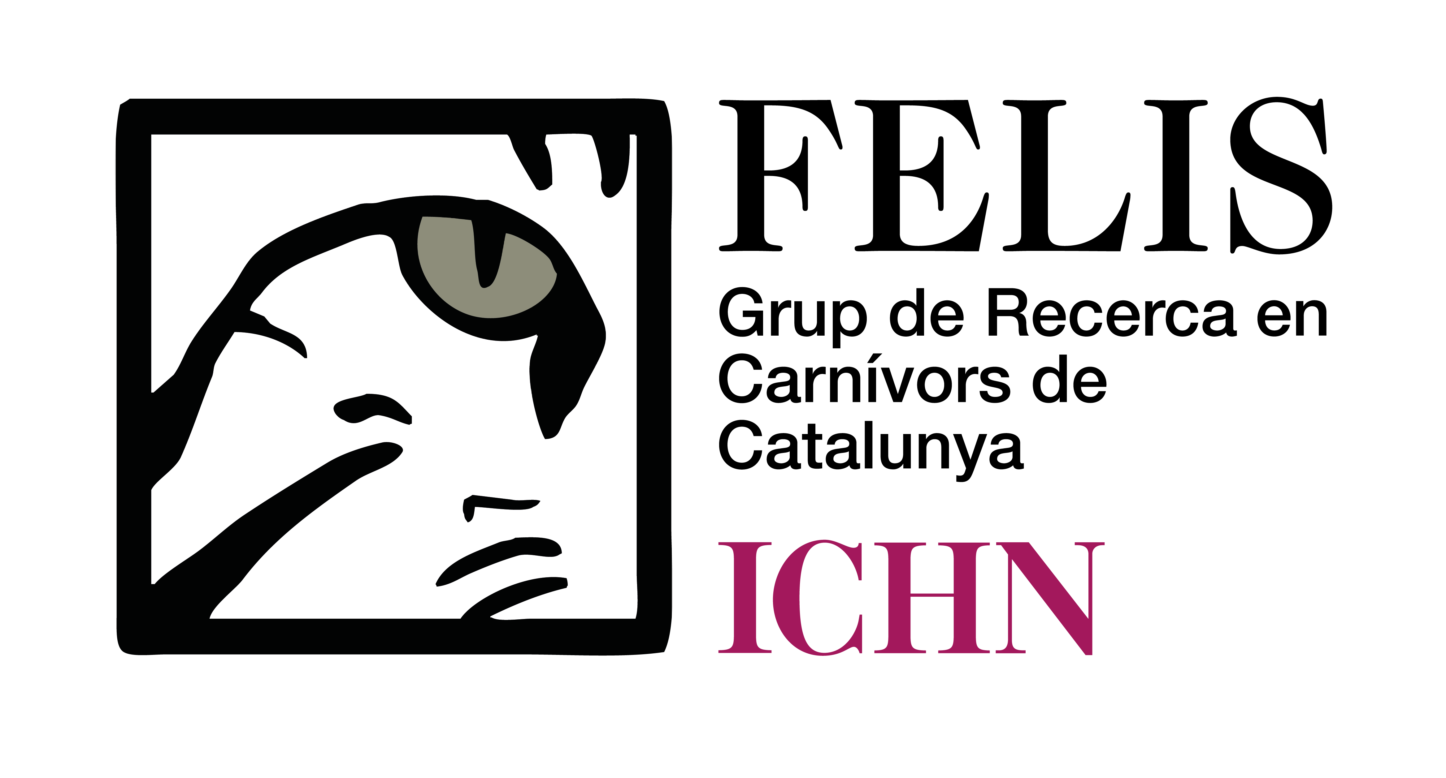 Grup Felis ICHN